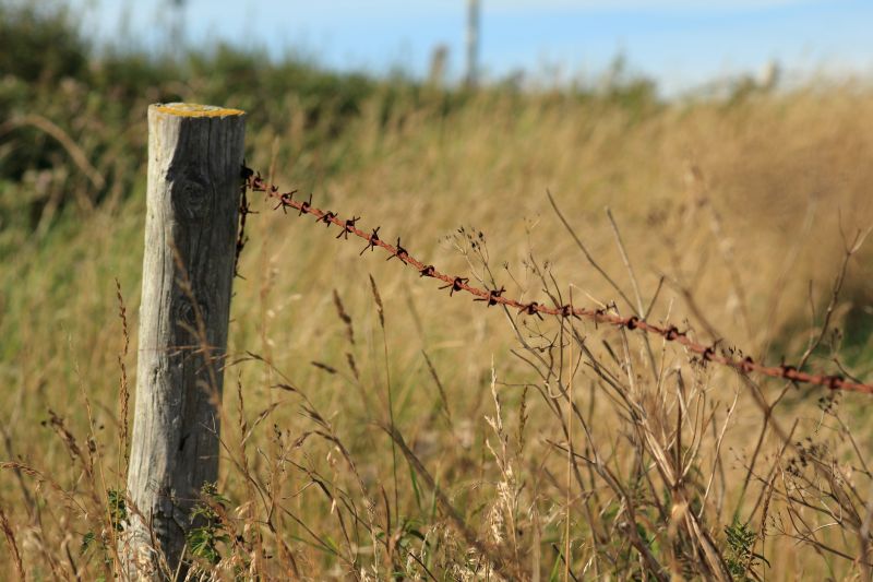 Barb Wire Fencing Repair