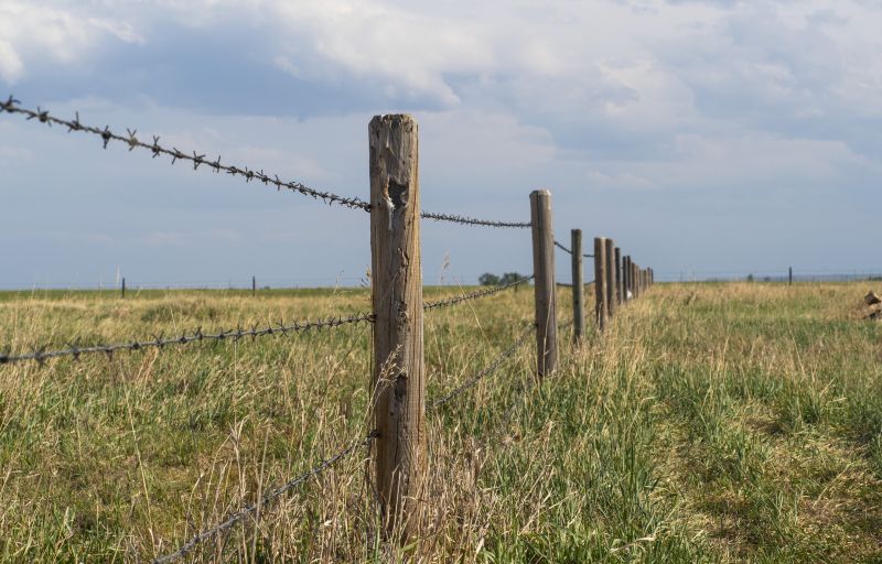 Barbed Wire Fence Replacement