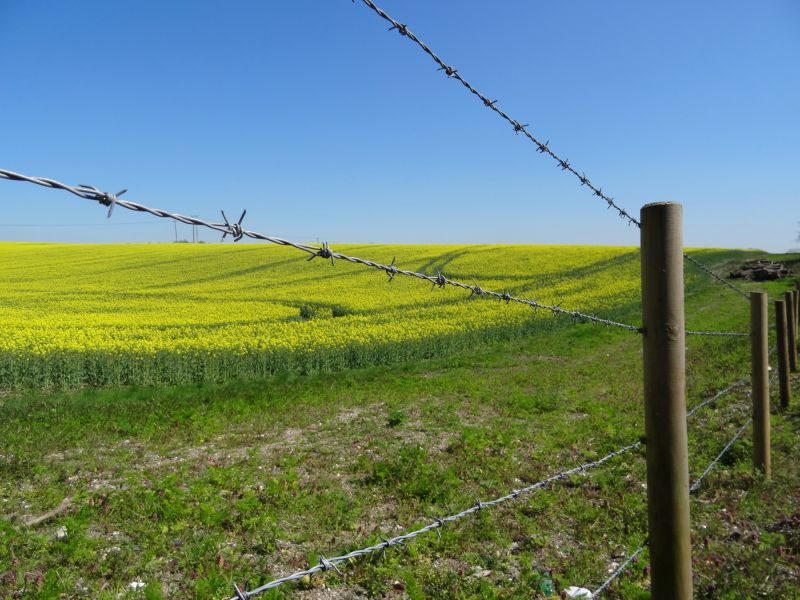 Farm Fencing Installation