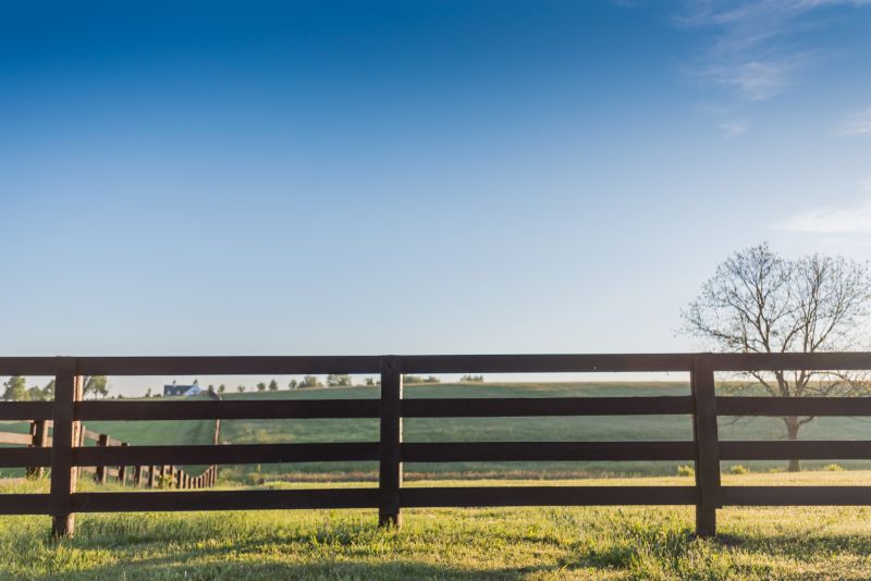 Fence Rail Repair