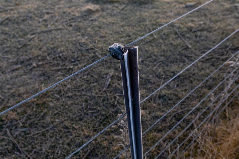 Field Fence Repair