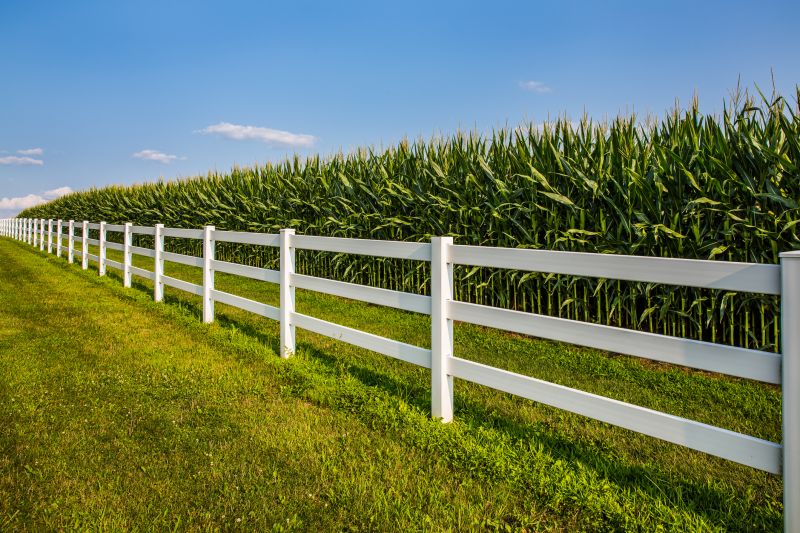 Split Rail Fence Installation