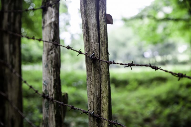 Wire Fence Replacement