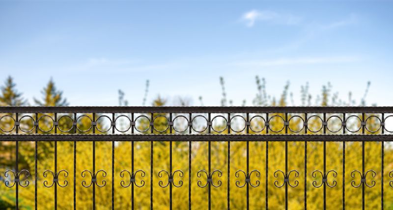 Wrought Iron Fence Installation